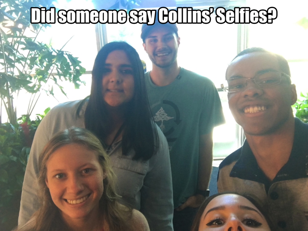 collinsinterns